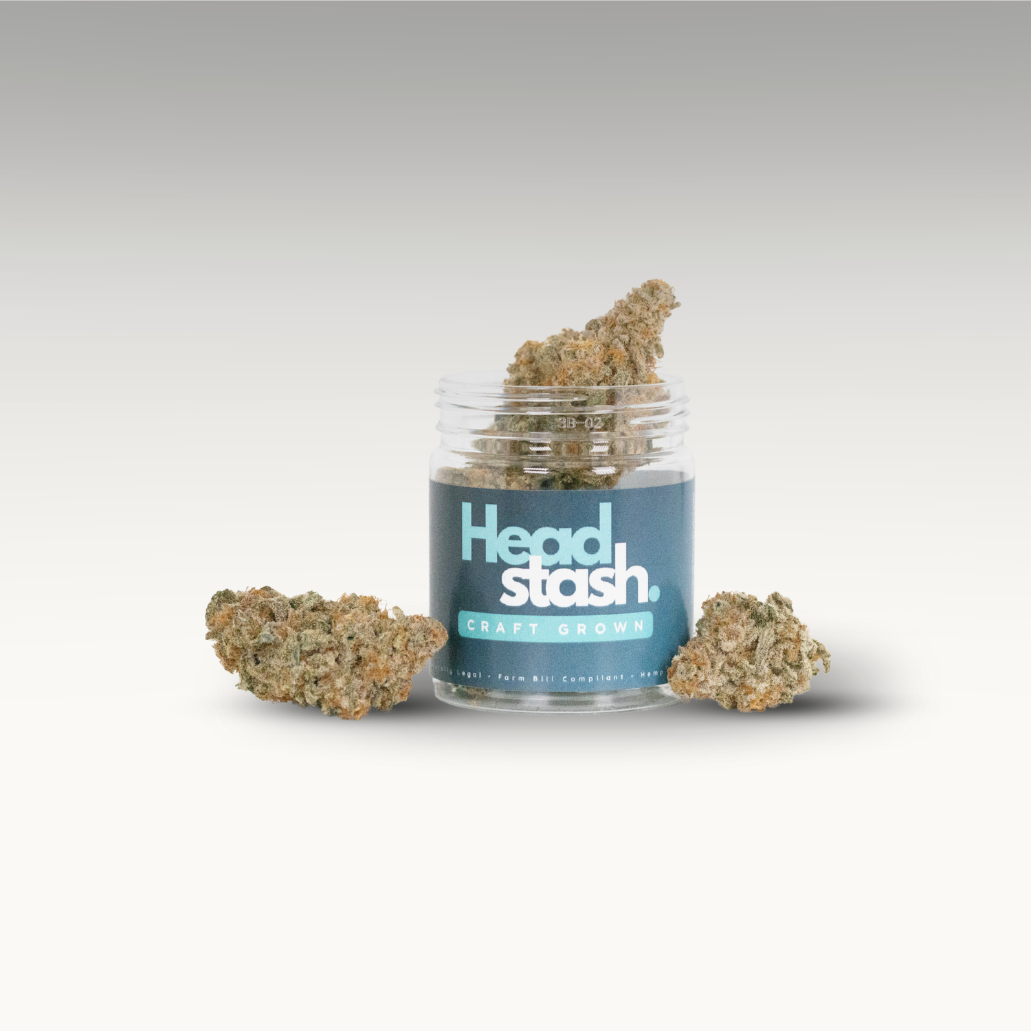 Indica vs Sativa vs Hybrid: Complete Guide to Cannabis Strain Types (2025)