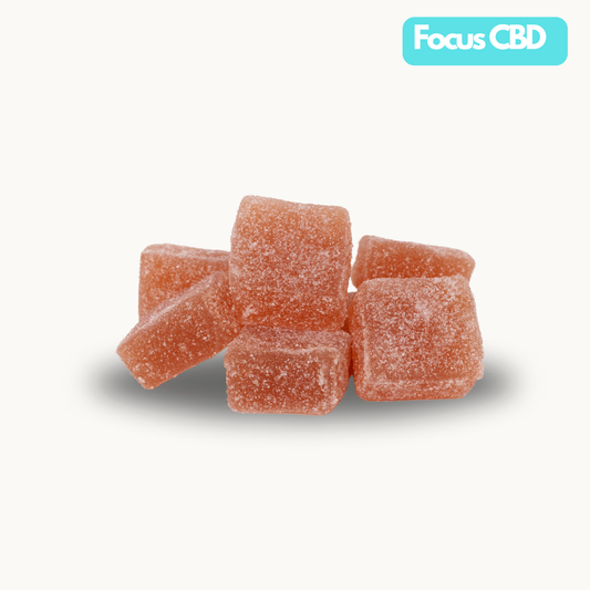 Focus CBD