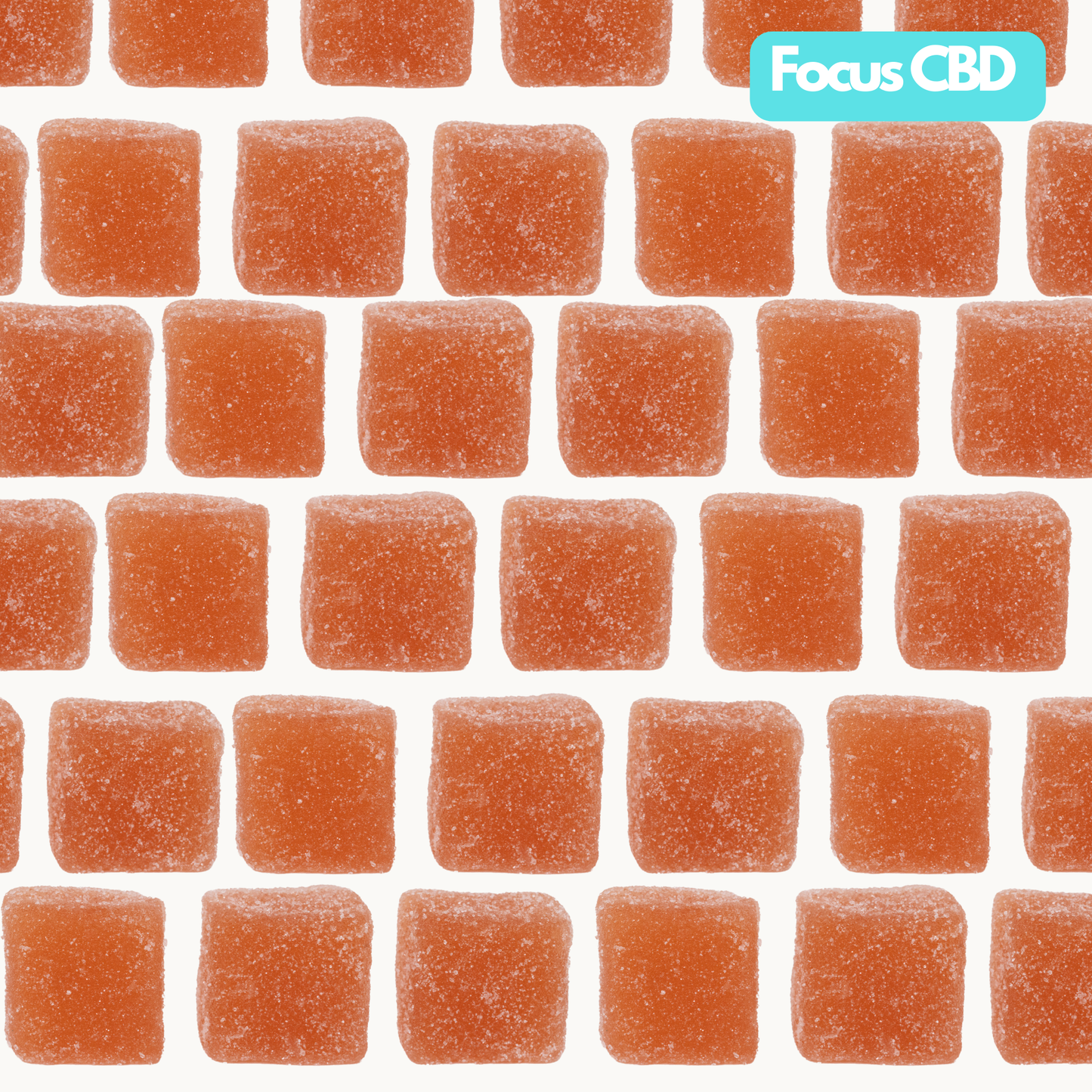 Focus CBD