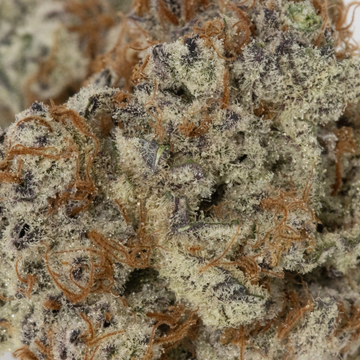 Gas Face (3.5g)