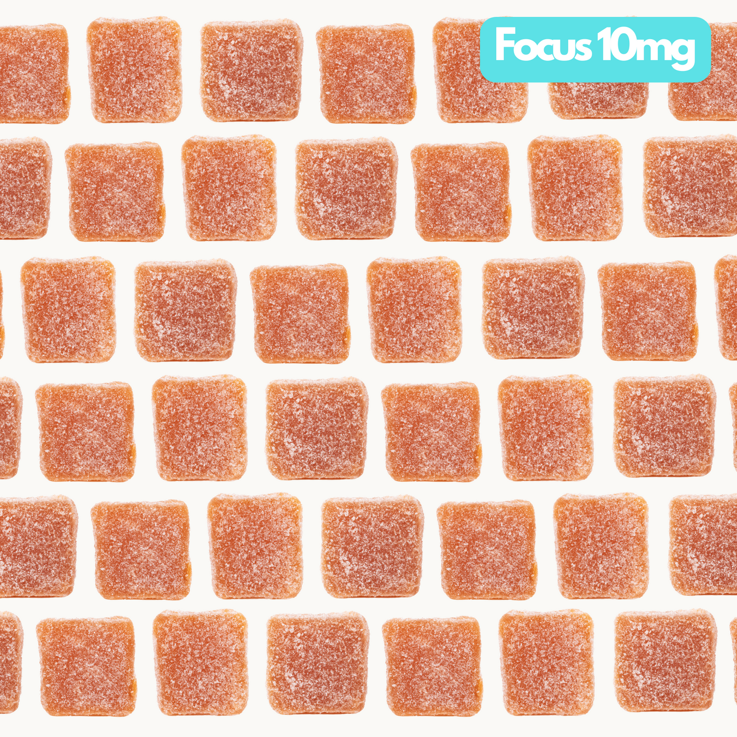 Focus 10mg