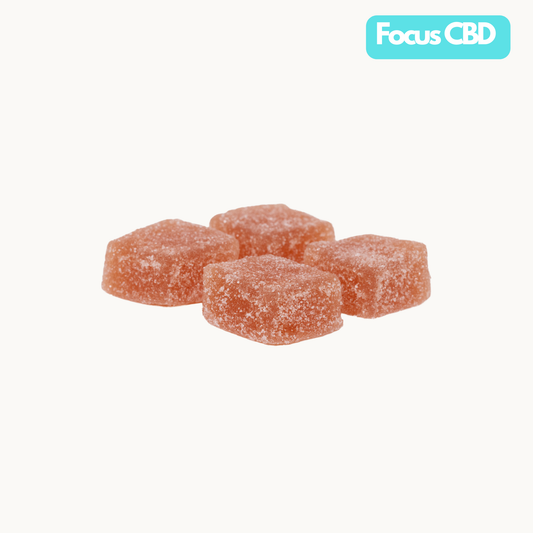 Focus CBD
